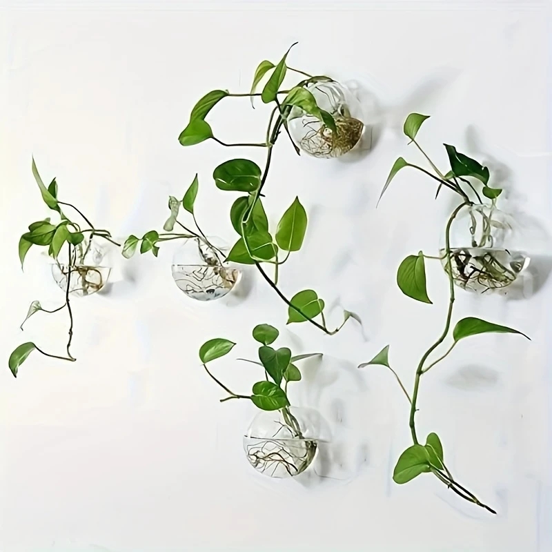 Self-Watering Planter - Conjunto de 2/4/6 Terrários de Vidro