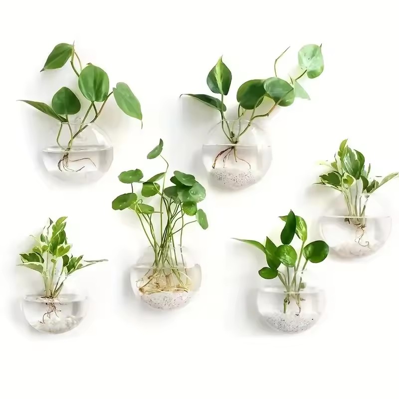 Self-Watering Planter - Pacote com 2/4/6 Terrários de Vidro