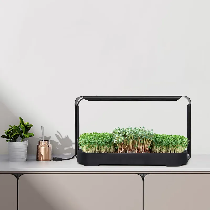 Sistema de Cultivo Hidropônico - Self-Watering Planter avaliação e preço