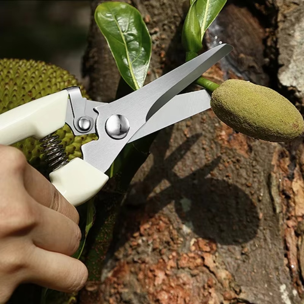 Faca de poda profissional, fer - Gardening Tools Essential avaliação e preço