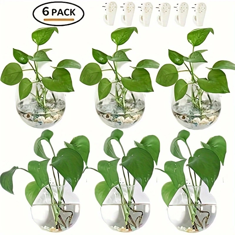Conjunto de 2/4/6 Terrários de - Self-Watering Planter avaliação e preço