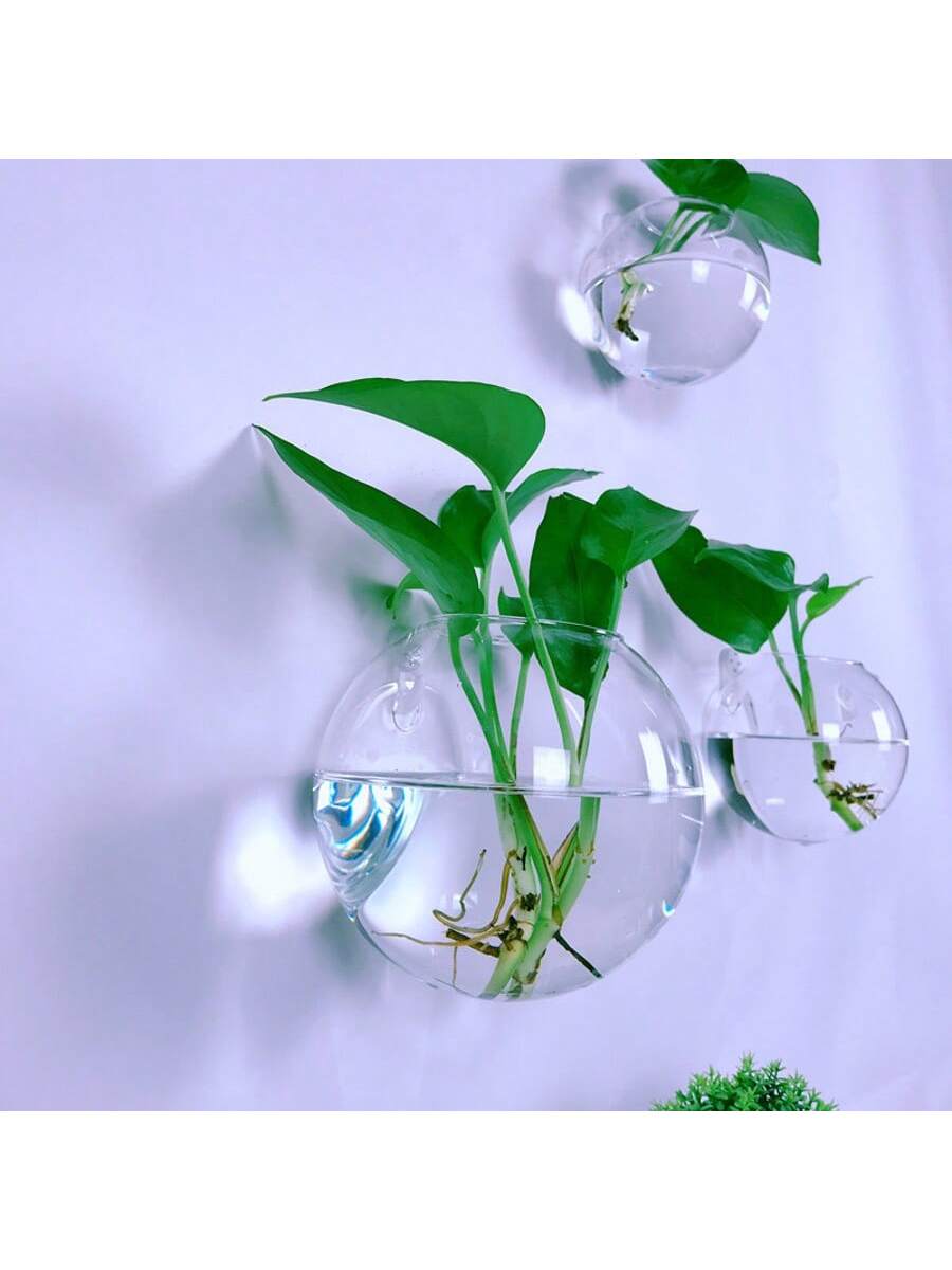 Pacote com 2/4/6 Terrários de  - Self-Watering Planter avaliação e preço