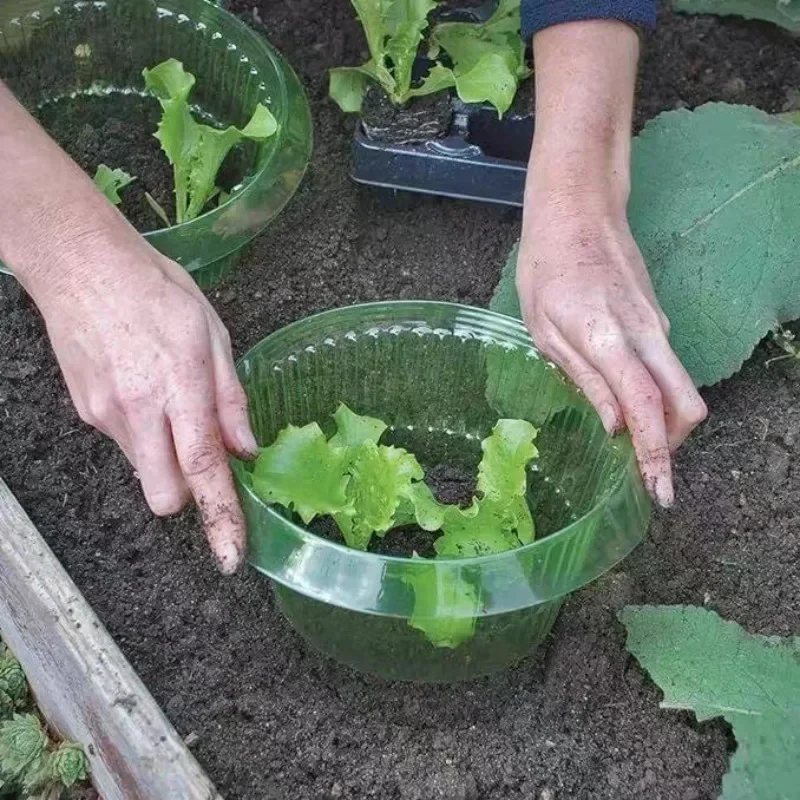 Plantas slug proteção anéis le - Gardening Tools Vegetables avaliação e preço